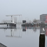 20221223_112248.jpg